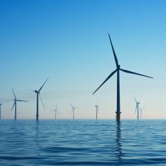 Getting Started in the Renewable Energy Industry